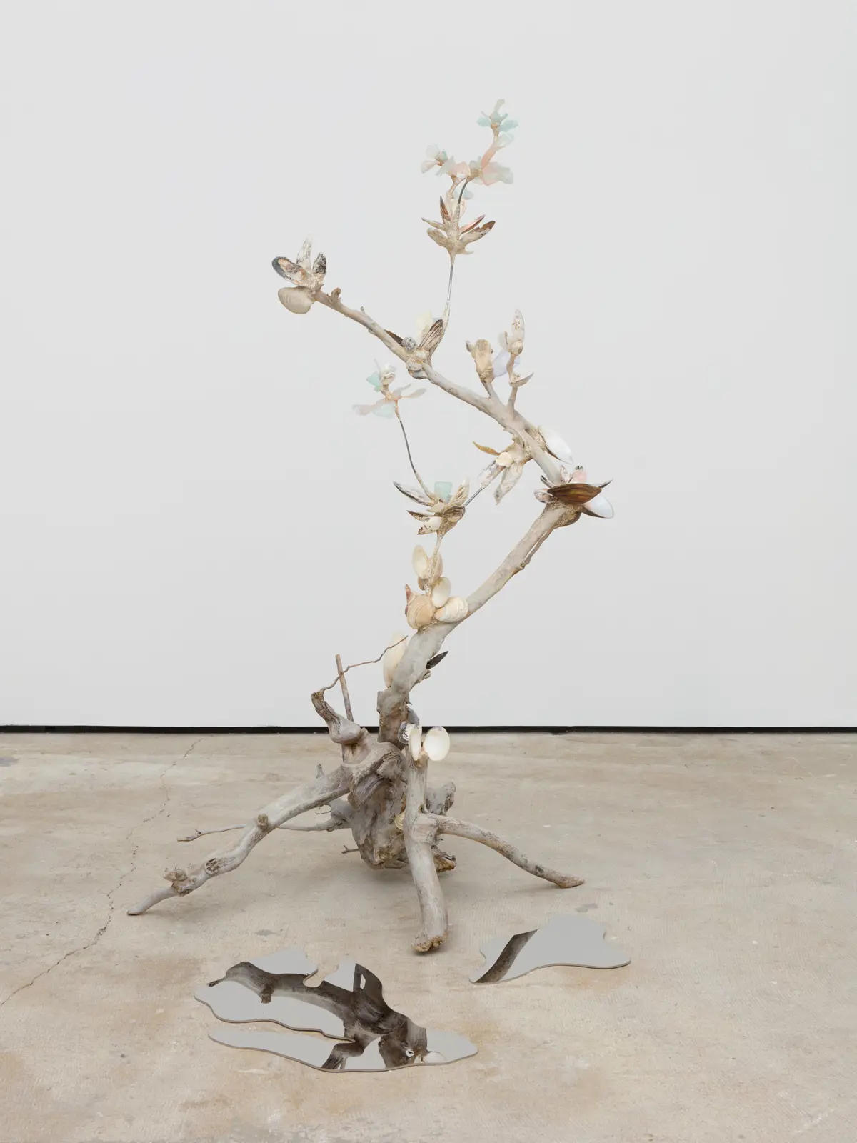Xenophora I, 2024, Driftwood, Mussel Shells, Oyster Shells, Fish Bones, Sea Glass, Rock Conglomerates, Epoxy Clay, Acryli