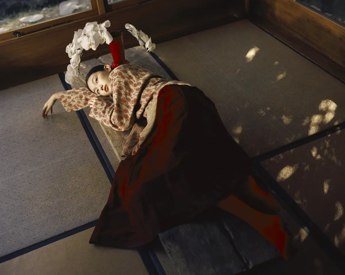 Harrods x SH Harrods x SH