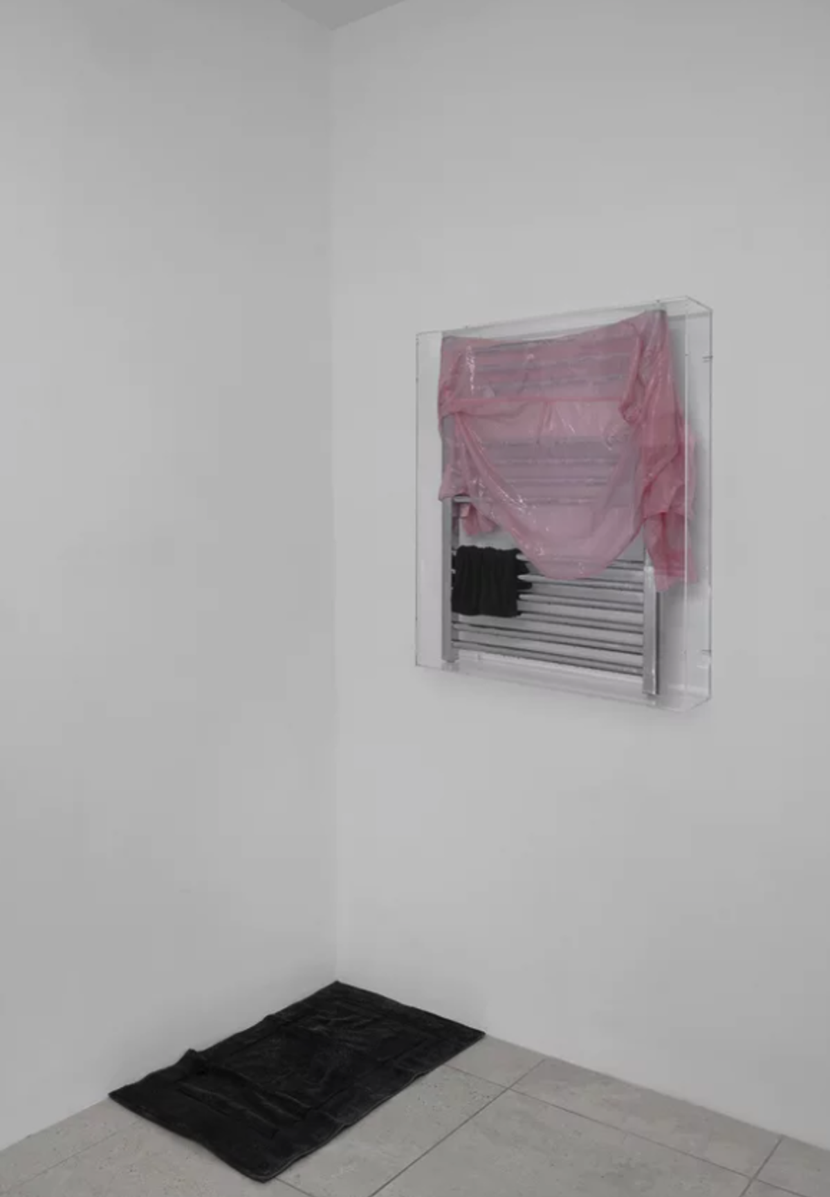 Isabella Benshimol Toro: Scatter Symphony