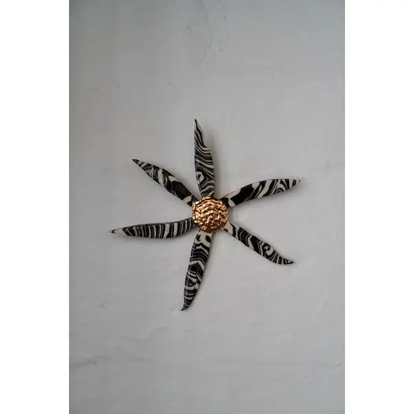 Zoom 35980399 1766076591722 Dsc08486